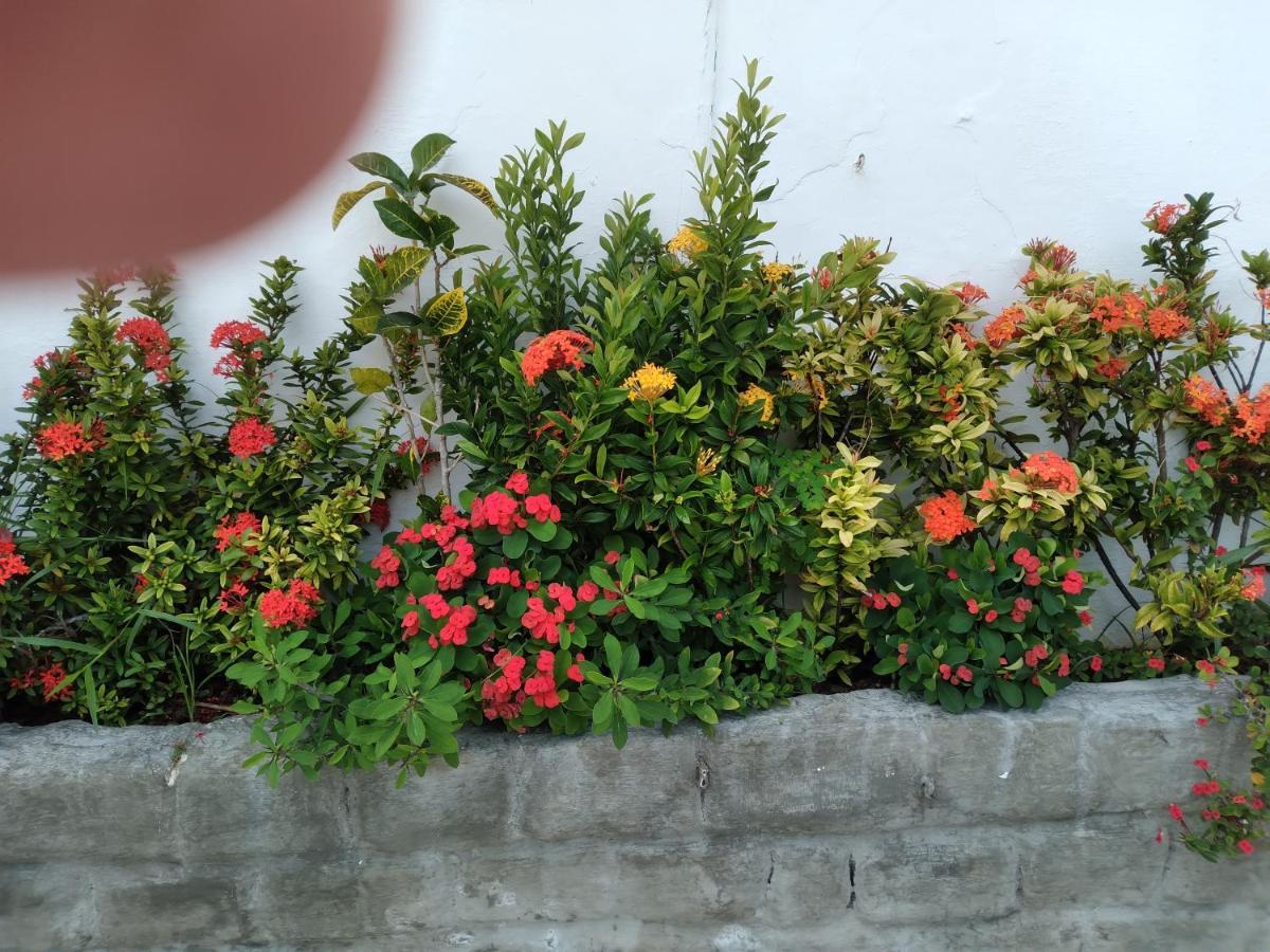 Pousada Terra De Minas นาตาล ภายนอก รูปภาพ